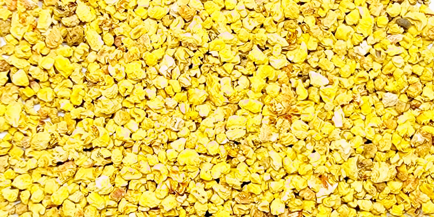 2 and 8 oz SanJerScents Sprinkle Dry Potpourri for Electric Dish Tart Warmers and Sachets